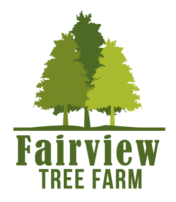 Fairview Tree Farm